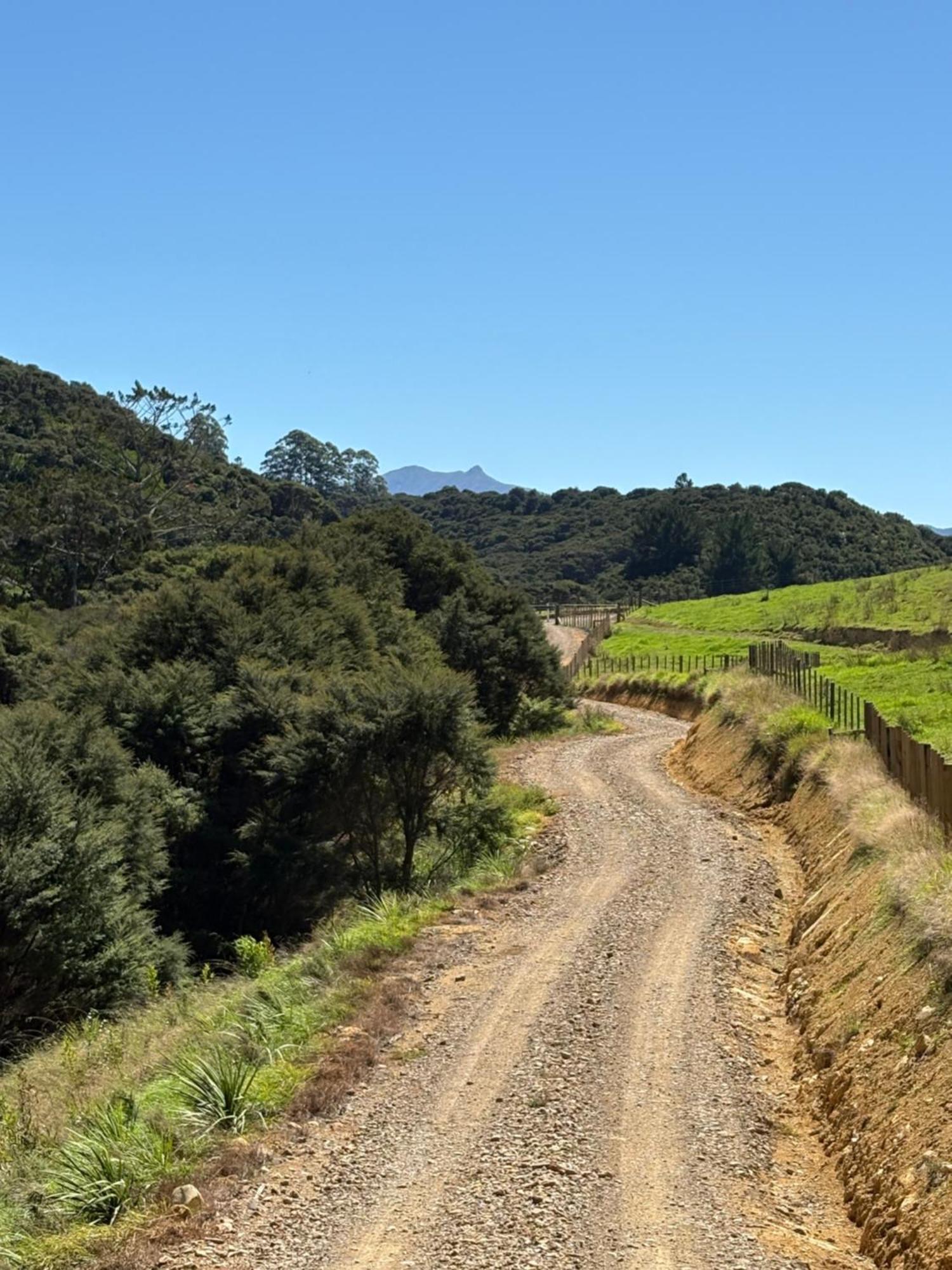 White Star Station Farm Holiday Park Coromandel Extérieur photo